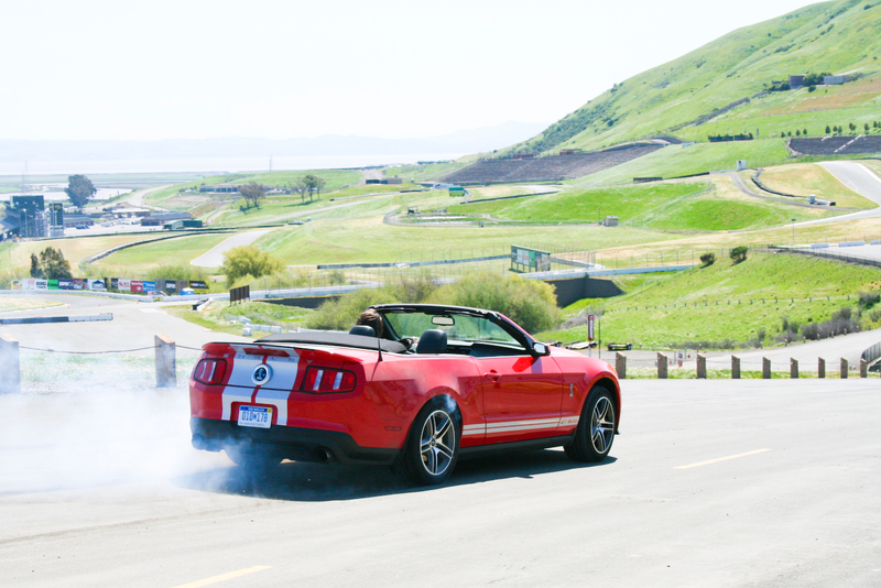 Illustration for article titled 2010 Shelby GT500: First Drive